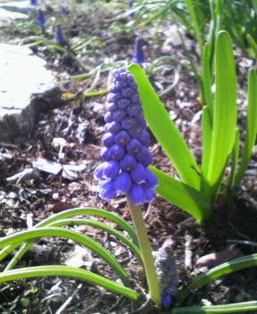 f0088647_16424643.jpg