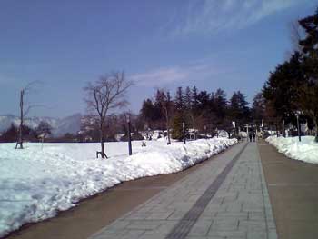 b0005652_20322499.jpg