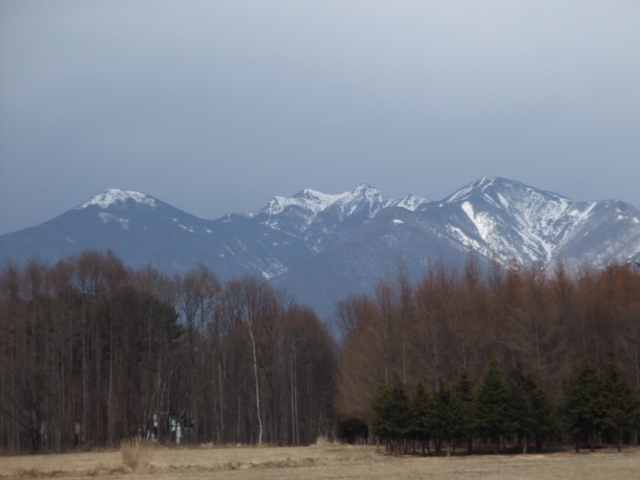 b0070657_1543396.jpg
