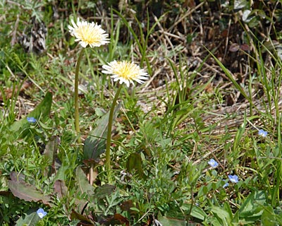 e0035757_17311357.jpg
