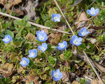 e0035757_1731186.jpg