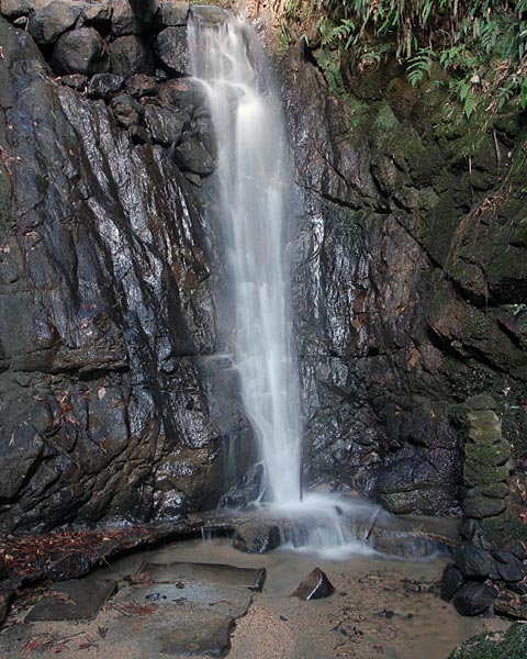 e0035757_17333118.jpg