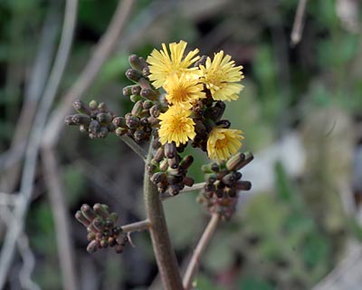 e0035757_17333965.jpg