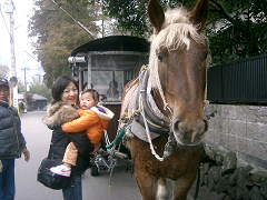 f0147759_1147865.jpg