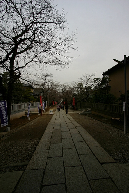 中山法華経寺_d0152261_12552651.jpg