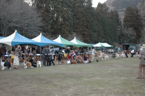 相模湖ケネルクラブ創立展_f0126965_1836541.jpg