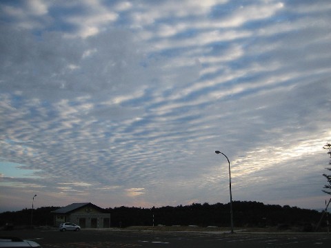 a0087378_4222261.jpg