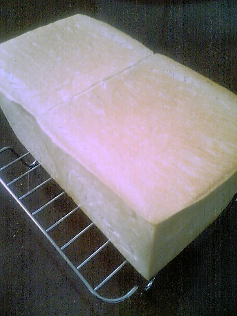 a0008185_14253597.jpg