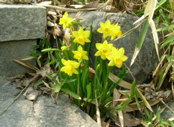 e0030587_8163675.jpg