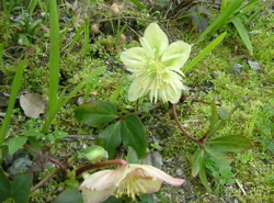 e0030587_8232325.jpg