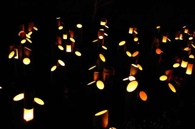 e0061694_7372663.jpg