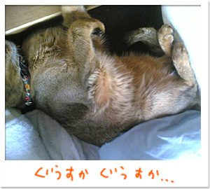 変な寝方2_d0084214_092029.jpg