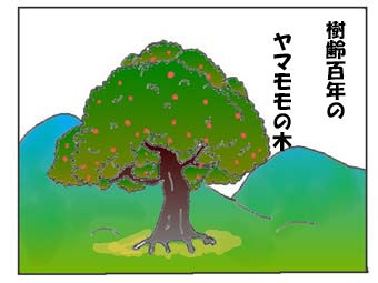 華麗なる3姉妹 うどんのイラスト絵日記 華麗なる3姉妹 うどんのイラスト絵日記