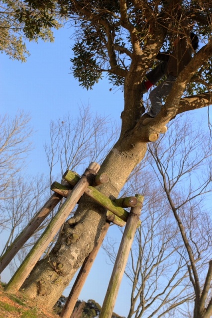 c0089419_2102186.jpg