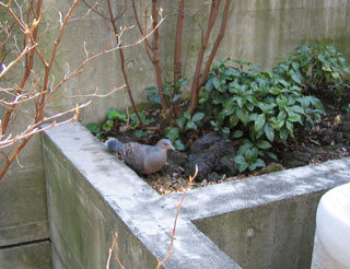 c0103119_14262475.jpg
