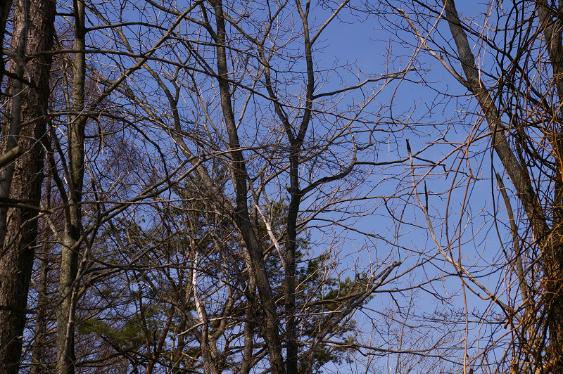 e0136424_1011994.jpg