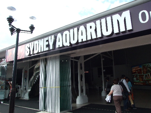 「シドニー 動物園ワイルドライフワールドと水族館シドニーアクアリウム」_a0000029_1235936.jpg
