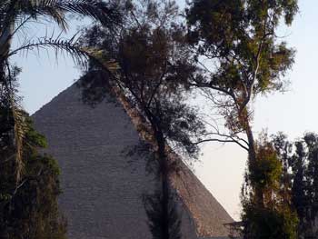 a0015132_79972.jpg