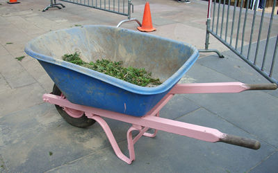 c0064534_35577.jpg