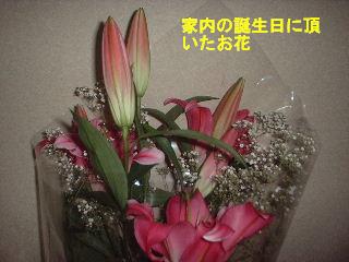 よき日_f0031037_18215378.jpg