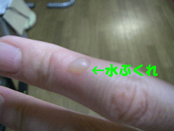 c0136838_1127311.gif