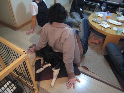 f0058241_17443740.jpg