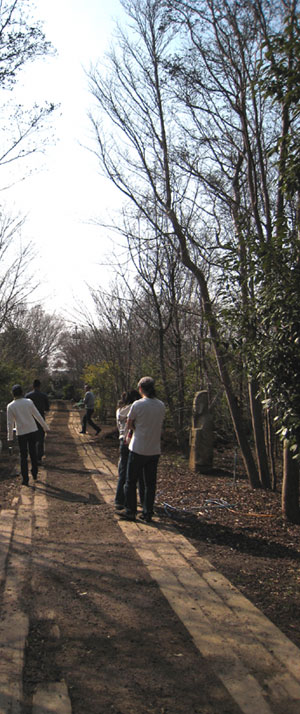 植栽選び/南沢の基地/T邸_c0089242_1013362.jpg