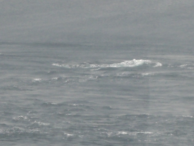 c0046846_0473283.jpg