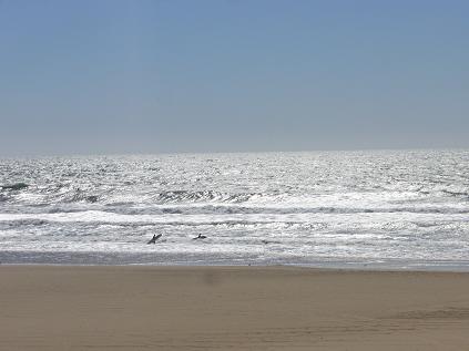 f0041447_12123912.jpg