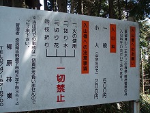 d0048350_20451047.jpg