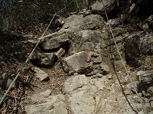 d0048350_2048103.jpg
