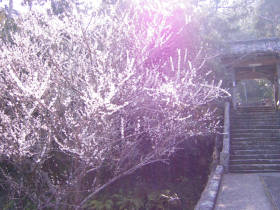 e0033751_21425146.jpg