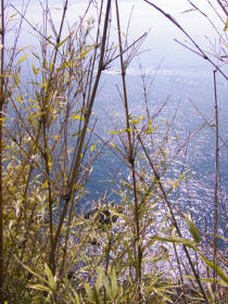 e0033751_21575215.jpg