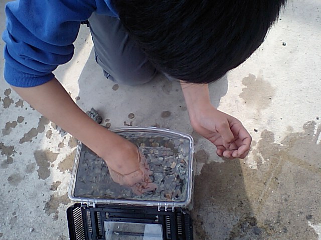 d0125059_15571268.jpg