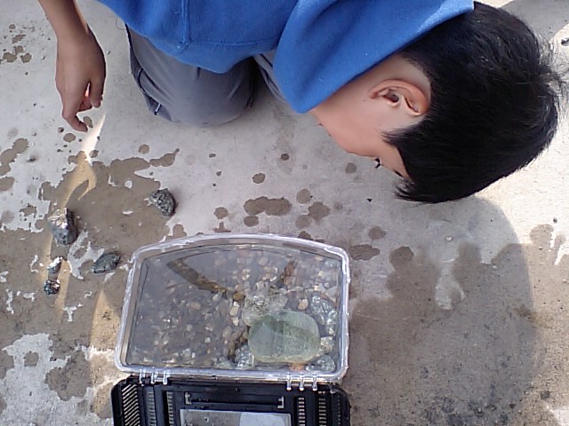 d0125059_15575019.jpg