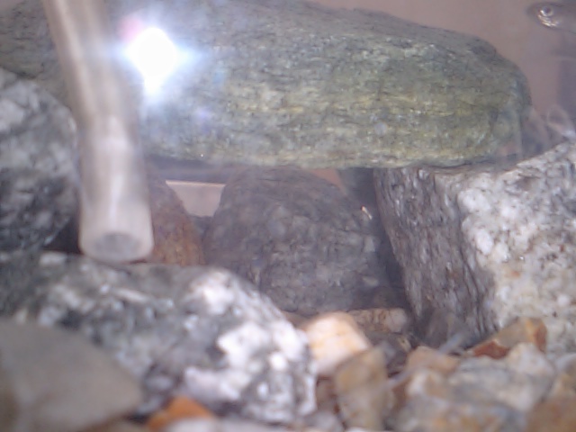 d0125059_15582029.jpg