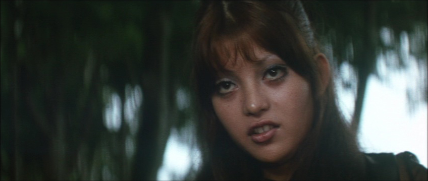 フラワー・メグ「不良番長・手八丁口八丁」（1971）《後編