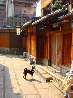 d0101070_16382784.jpg