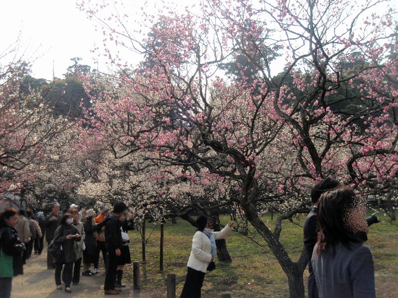 c0075585_1265615.jpg
