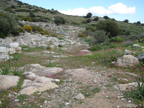 古代トリコスの集落遺跡_c0010496_1951389.jpg