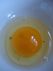 産みたて卵ご飯_f0106597_2483910.jpg