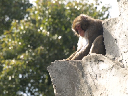 　「そうだ！動物園に行こう。」　_b0111004_10142.jpg