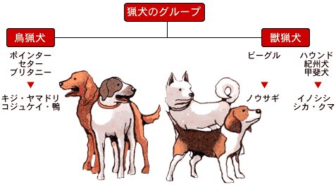 f0077807_20262973.gif