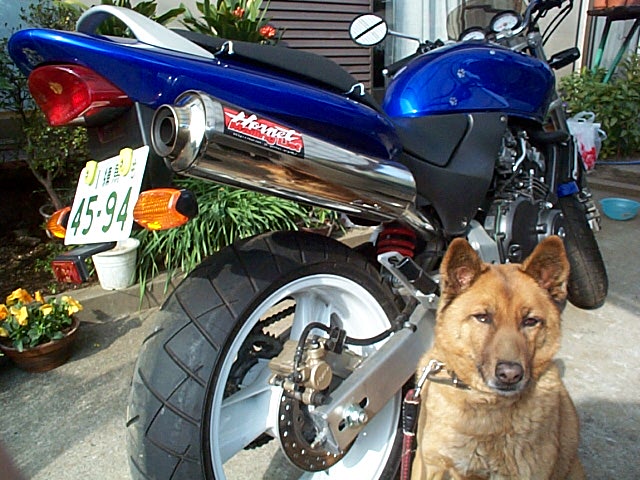 f0141609_2210972.jpg