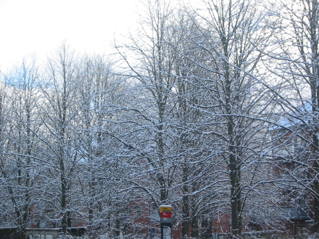 c0100110_18355766.jpg