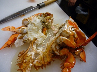 ホタルイカ沖漬け_f0157910_15283984.jpg