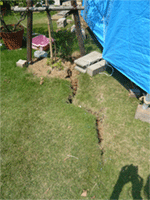 c0022913_12293125.gif