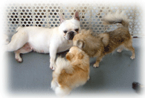 b0078030_0183375.gif