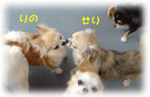b0078030_020124.gif