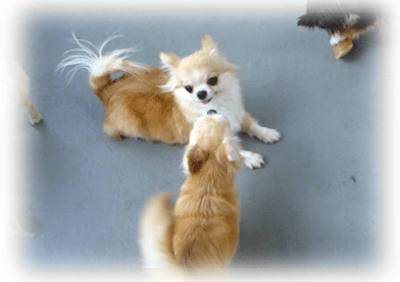 b0078030_021140.gif
